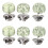 6 Unidades Broches Cuello Flor Sin 2