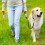 3Pcs Porta Saco De Fezes Para Cachorro Com 45Pcs Sacos 9