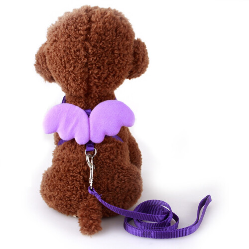 Coleira Ajustável Para Cachorro Com M 1