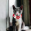1 Collar De Para Tejido 2