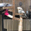 2St Vogelstand Paal - En Klimspeelgoed 6