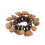 Nut Shell Pulseira Mão Chimes Instrumento Percussão Orquestral 4