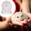 Set Ruota Per Esercizio Per Crisomolo, Animali , Gerbilli, 8