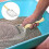 Concha Para De E Réptil, Limpa- Com De 4