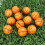 20 Palline Mini Squeeze Da Basket Antistress Per Bambini 4