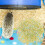 1 Lettiera In A Spirale Antiodore Per Animali 5