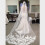 Hochzeitskleid Mit Brautschleier Accessoires 8