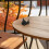 24 katzenabweisende wandspitzen mit für garten, dach, 4