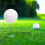 Golfbal markeerder plastic met roestvrijstalen 5