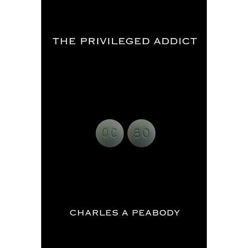 The Privileged Addict by Charles A Peabody Paperback Book