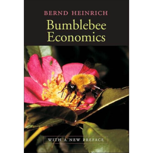 Bumblebee Economics by Bernd Heinrich Paperback Book