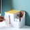 Box Taschentuchhalter Desktop Organizer Taschentuch Organizer 5