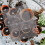 5 -loch-mesh, für bonsai- töpfe 8