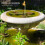 schwebekranz- springbrunnen für garten, , terrasse 4