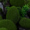 20St Simulation Moosstein Für Aquarien Und Terrarium 5