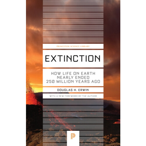 Extinction by Douglas H. Erwin Paperback Book