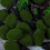 20 simulation moosstein pflanzendekoration für aquarium terrarium 9