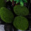 20 simulation moosstein pflanzendekoration für aquarium terrarium 11