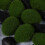 20 simulation moosstein pflanzendekoration für aquarium terrarium 7