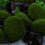 20 simulation moosstein pflanzendekoration für aquarium terrarium 6