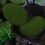 20 simulation moosstein pflanzendekoration für aquarium terrarium 10