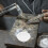 cuvette en quartz pour 2 fusion or laiton alliage 5