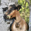 Sheep Anhänger Glocke Kupfer Anti-Lost Weide 2 8