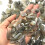 3 noir 100 g 5-7 mm pour aquarium 2