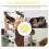 Pet Voice Button Communication Device Training Clicker Tool 11