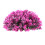 Decorative Ornament Polyethylene 1 Set For Home Office Pink 1