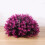Decorative Ornament Polyethylene 1 Set For Home Office Pink 7