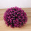 Decorative Ornament Polyethylene 1 Set For Home Office Pink 8
