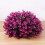 Decorative Ornament Polyethylene 1 Set For Home Office Pink 6