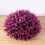 Decorative Ornament Polyethylene 1 Set For Home Office Pink 10