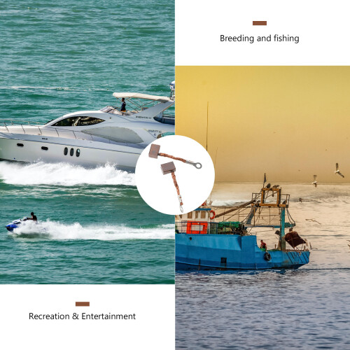 2 balais carbone pour marine électrique avec 2 ressorts 2