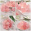 500g chic pink crystal stone aquarium decoration 6
