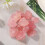 500g chic pink crystal stone aquarium decoration 4