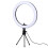 10 Inches Dimmable Ring Light With Rotatable Phone Stand And Clip 1