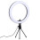 10 Inches Dimmable Ring Light With Rotatable Phone Stand And Clip 10