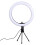 10 Inches Dimmable Ring Light With Rotatable Phone Stand And Clip 8