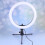 10 Inches Dimmable Ring Light With Rotatable Phone Stand And Clip 3