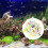 1 Pack Colorful Stone Fish Tank Decor Potted Pebbles 3