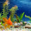 1 Pack Colorful Stone Fish Tank Decor Potted Pebbles 4