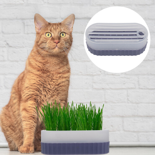 1 Set Cat Grass Planting Box Soilless Container 1
