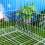 2 porta , contenitore distributore per cavia 4