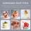 100 Pezzi A Fiocco Neve Per Sushi E Frutta 11