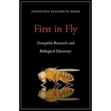 First in Fly by Stephanie Elizabeth Mohr Hardcover Book