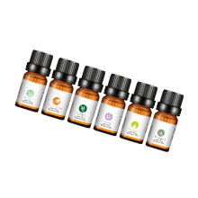 Een doos met 6 natuurlijke biologische etherische oliën van 10 ml