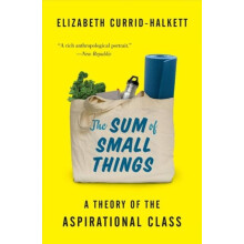 The Sum of Small Things by Elizabeth CurridHalkett Paperback Book