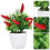 2 Unidades Árvore Artificial De Pimenta Bonsai Decoração 3